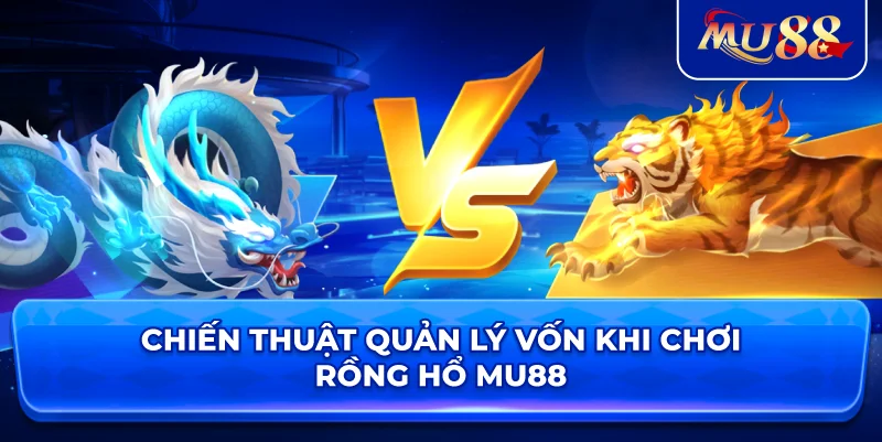 Chiến thuật quản lý vốn khi chơi rồng hổ MU88